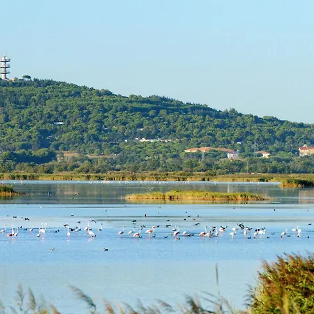 Apartment Beija Flor By Interhome *
